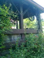 /album/okolie-chalupy/snimka0902-2-jpg/